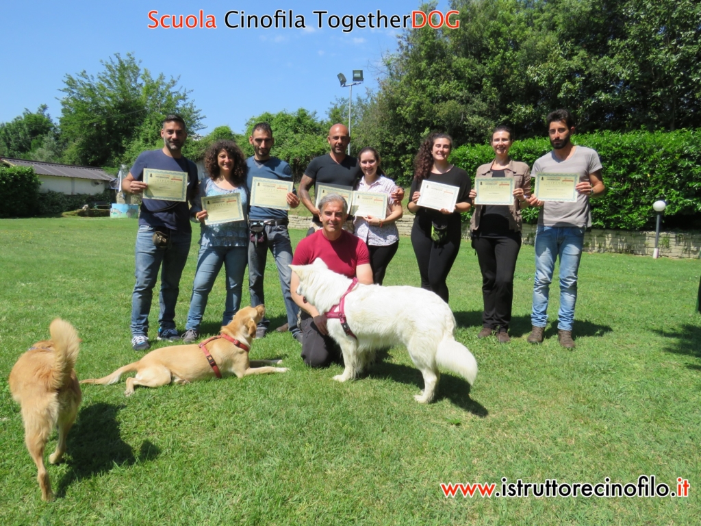 A ROMA: Percorso EVOLUTIVO per Educatore Cinofilo Comportamentale Togetherdog