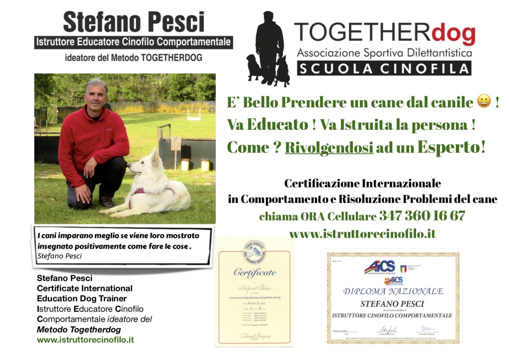 Il cane adottato dal canile va educato - Stefano Pesci istruttore Educatore Cinofilo Comportamentale