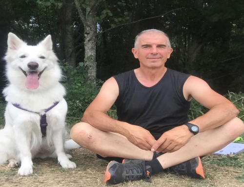 Meditazione insieme al cane
