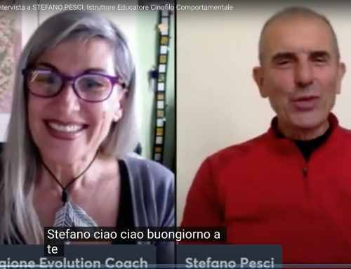 Evolving TOGETHER: INTERVISTA a STEFANO PESCI Istruttore Educatore Cinofilo Comportamentale