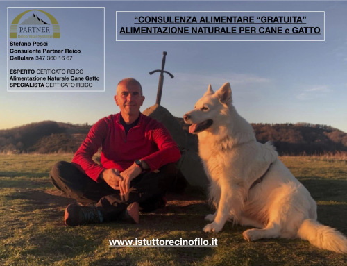 Stefano Pesci CONSULENTE Partner REICO Cibo Cani Gatti