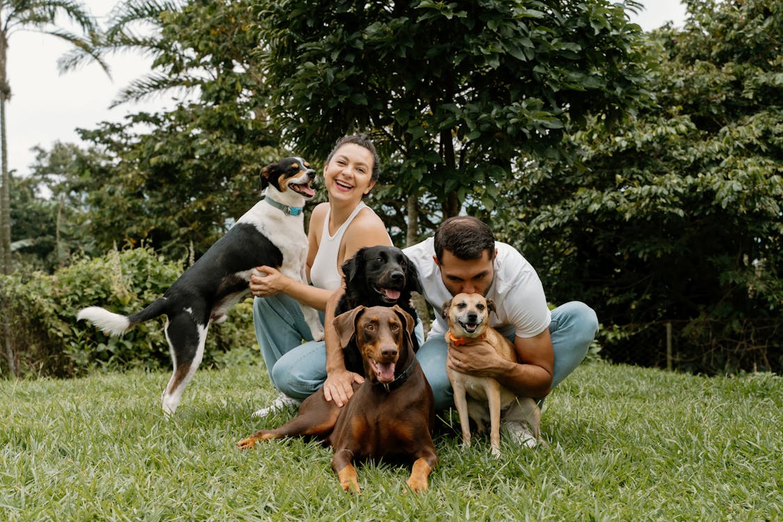 Educazione e Nutrizione Naturale del cane