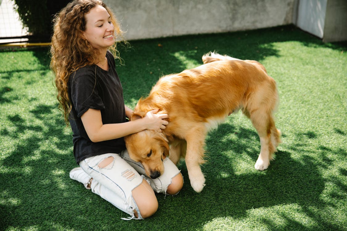 Investire nel futuro: imparare insieme al cane