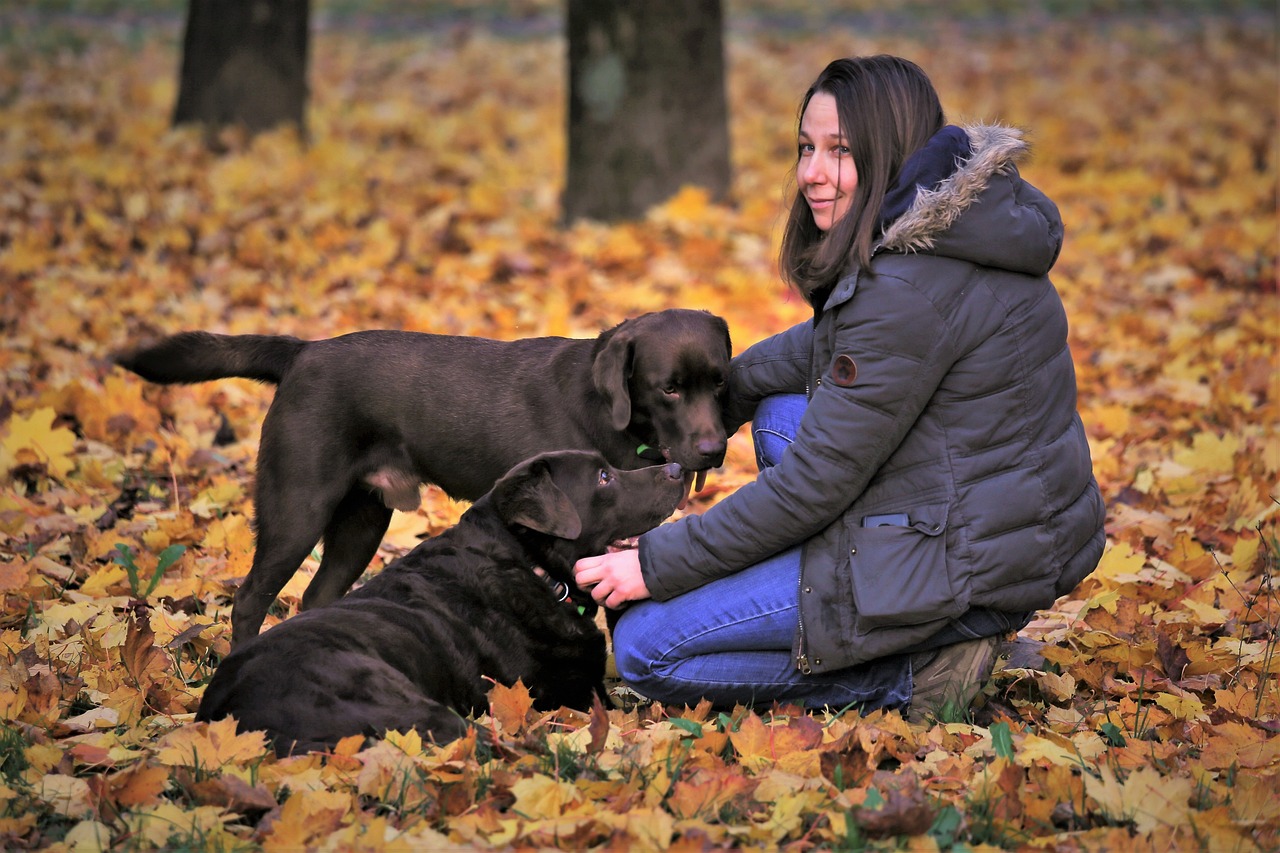 "Riflessioni sulle Dinamiche Comportamentali tra Cani e Umani"La Proiezione delle Incertezze Umane