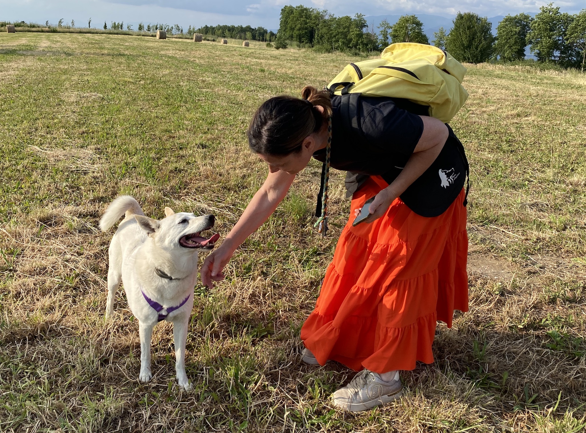 Zara - la Rinascita di un Cane Adottato