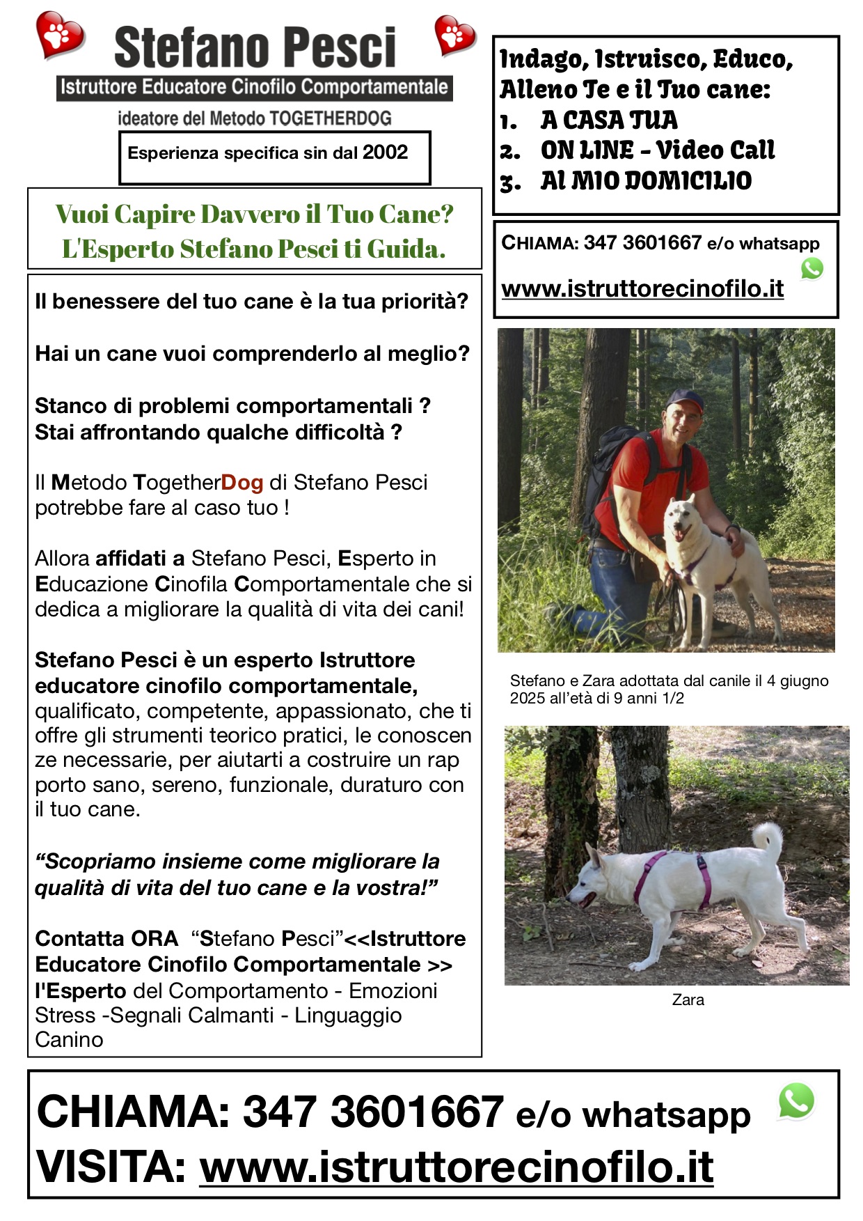 Vuoi Capire Davvero il Tuo Cane? L'Esperto STEFANO PESC ti Guida