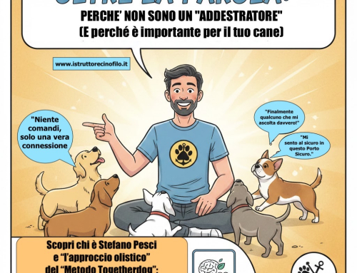 Oltre la parola: Perché non sono un “addestratore”