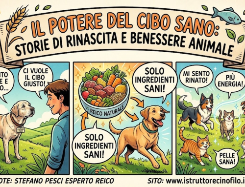 Il potere del cibo sano: storie di rinascita e benessere animale