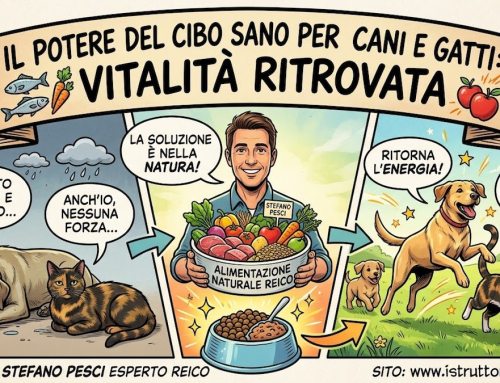 Il potere del cibo sano per cani e gatti: vitalità ritrovata
