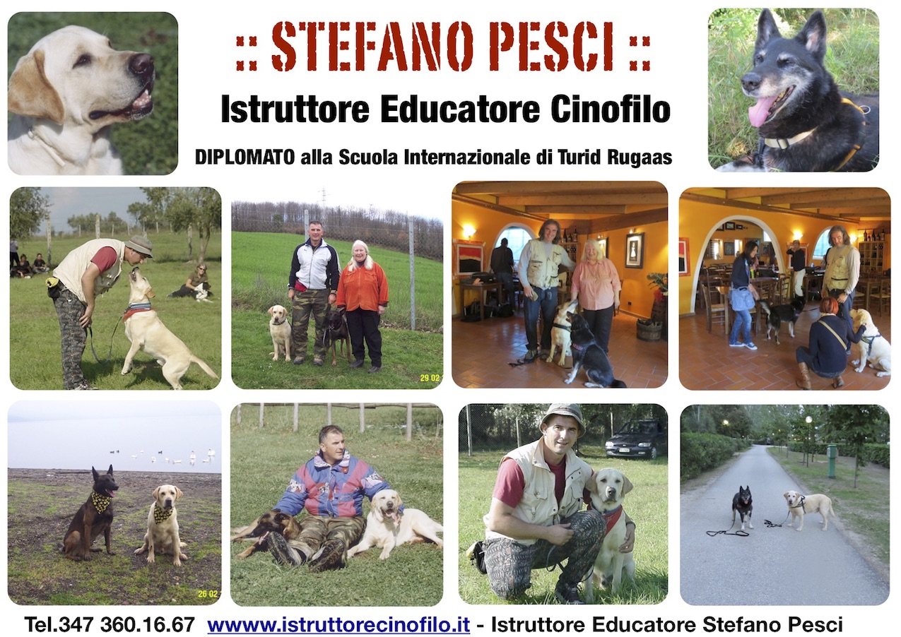 istruttore cinofilo comportamentale formato da turid rugaas in italia stefano pesci con i cani paco bessy renoir