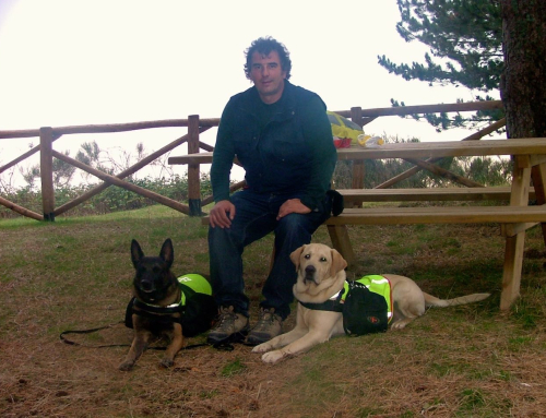 Come la mia Specializzazione con Turid Rugaas ha dato vita al metodo Togetherdog