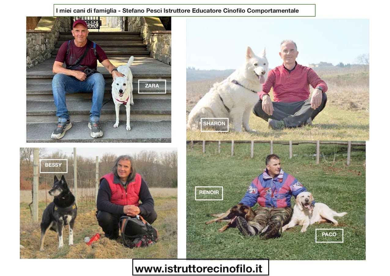 I cani insegnanti e mentori del Metodo Evolutivo Togetherdog con esperienza anni studi e pratica StefanoPesci