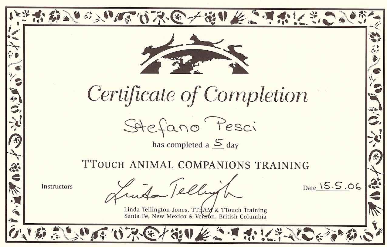 Certificato Corso Tellington TTouch per Cani Stefano Pesci