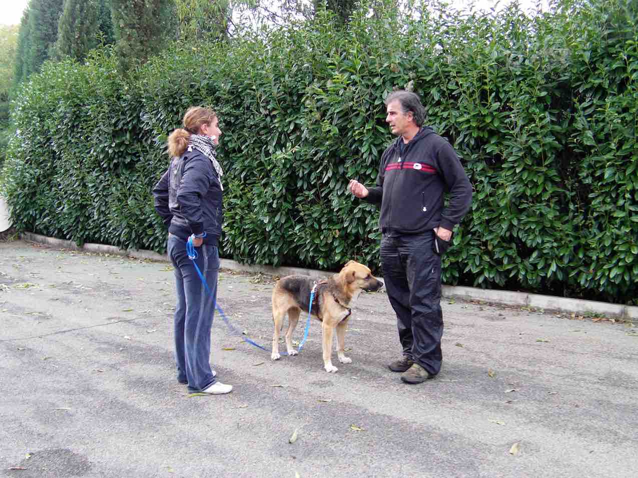 Risoluzione problemi del cane con l'esperienza e pratica di Stefano Pesci Istruttore Educatore Cinofilo Comportamentale