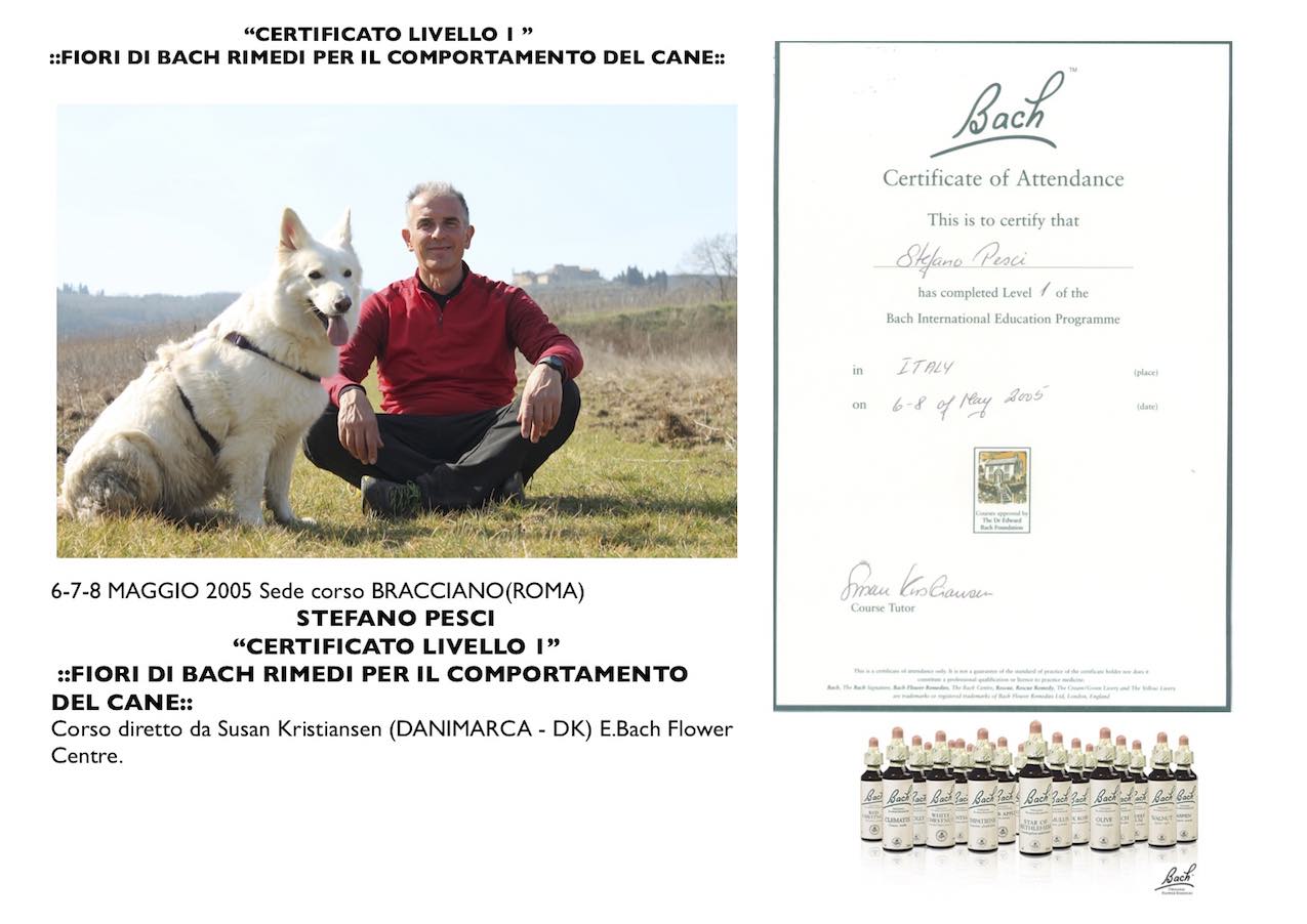 Attestato Corso Fiori di Bach Comportamento Cani Livello 1