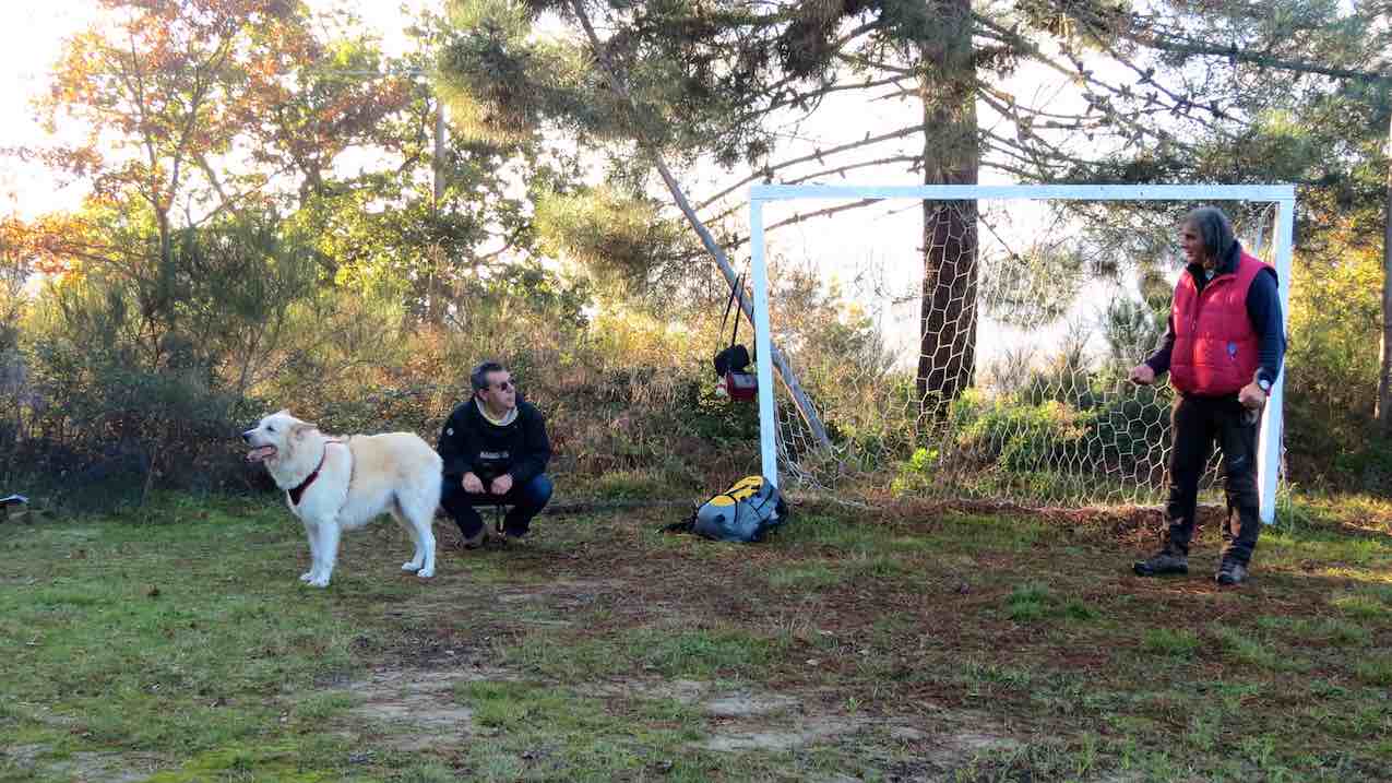  Stefano Pesci Istruttore Educatore cinofilo comportamentale in attività sul campo nella zona del Valdarno.