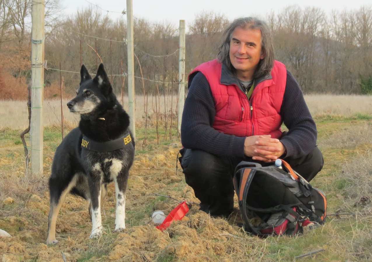 Bessy cane di Stefano Pesci Metodo Evolutivo TogetherDOG insieme nella campagna del Valdarno