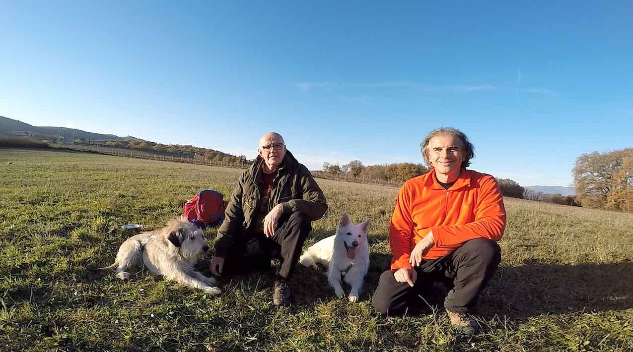L'indagine comportamentale analizza le cause profonde del disagio nel cane. Stefano Pesci Istruttore Educatore Cinofilo Comportamentale
