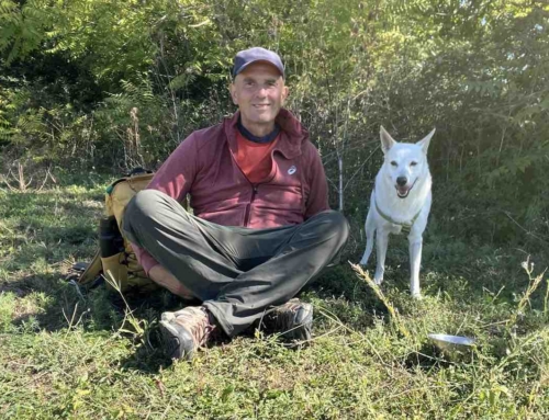 Storia del mio cane Zara: l’auto-intervista a Stefano Pesci e il suo percorso evolutivo