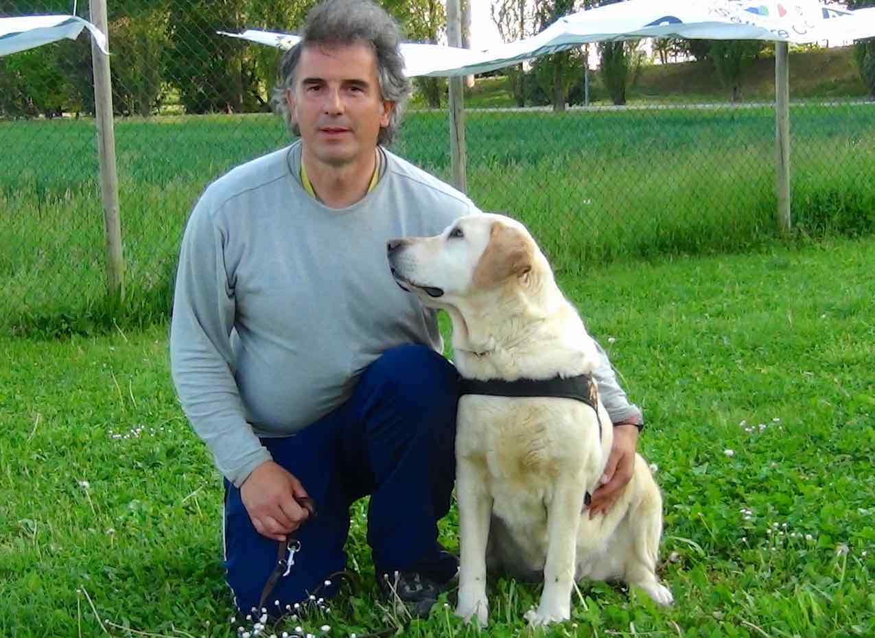 Stefano Pesci e il suo cane PACO Labrador Retriever intesa e relazione persona cane - Tel 3473601667
