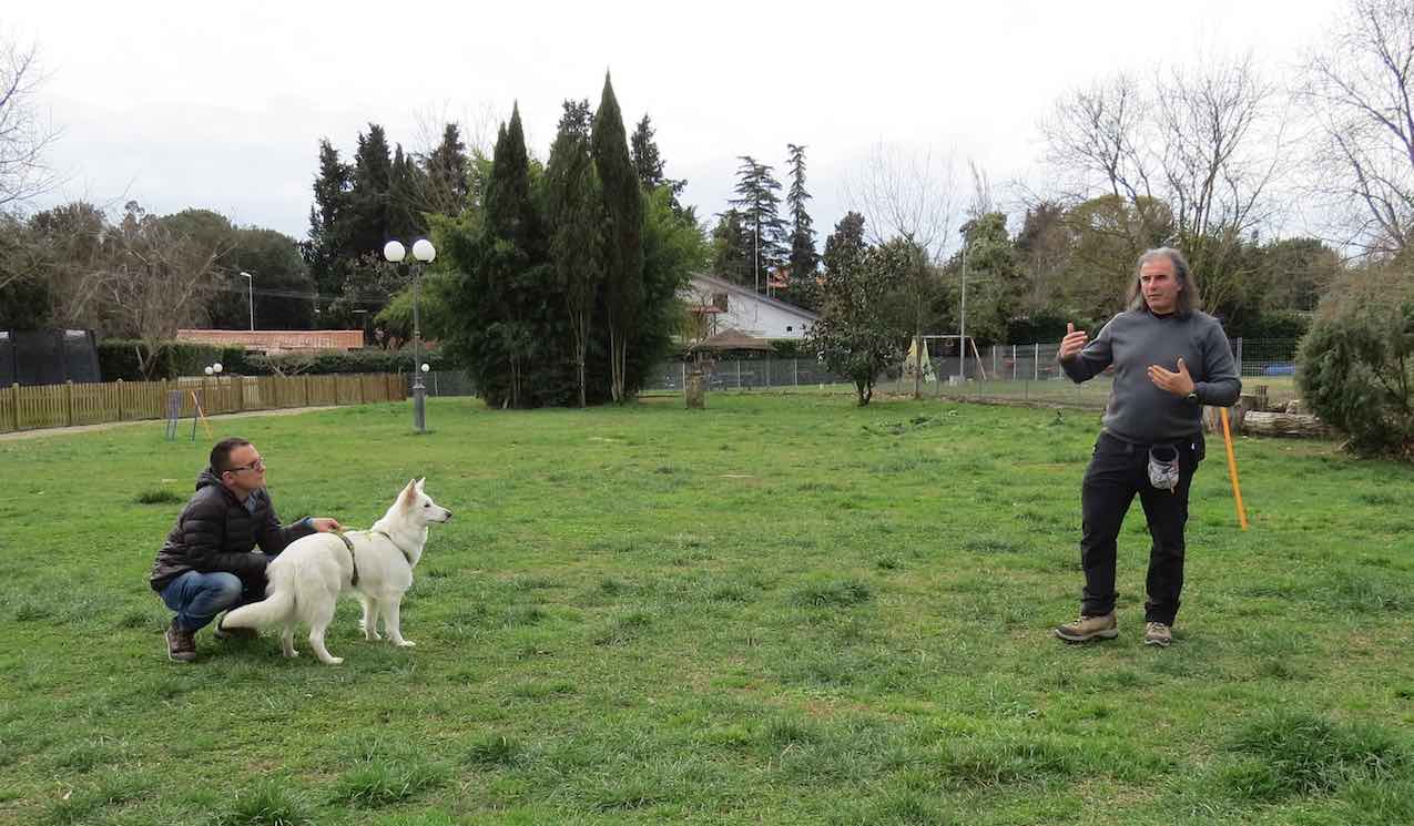 Problemi comportamentali relazione persona cane metodo Togetherdog Stefano Pesci
